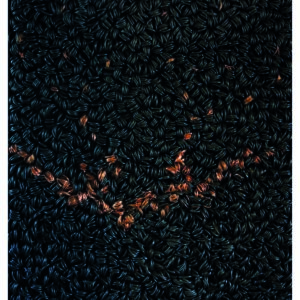 Horst Beyer - "Traces"